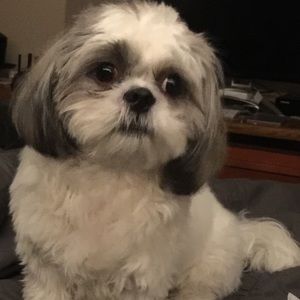 Meet your Posher, Tea